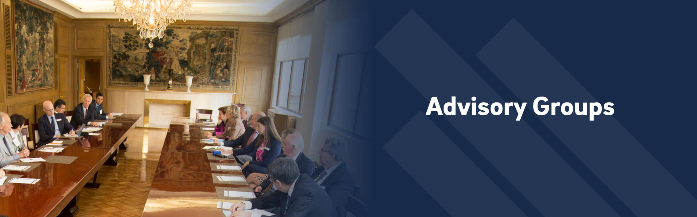 Advisory Groups