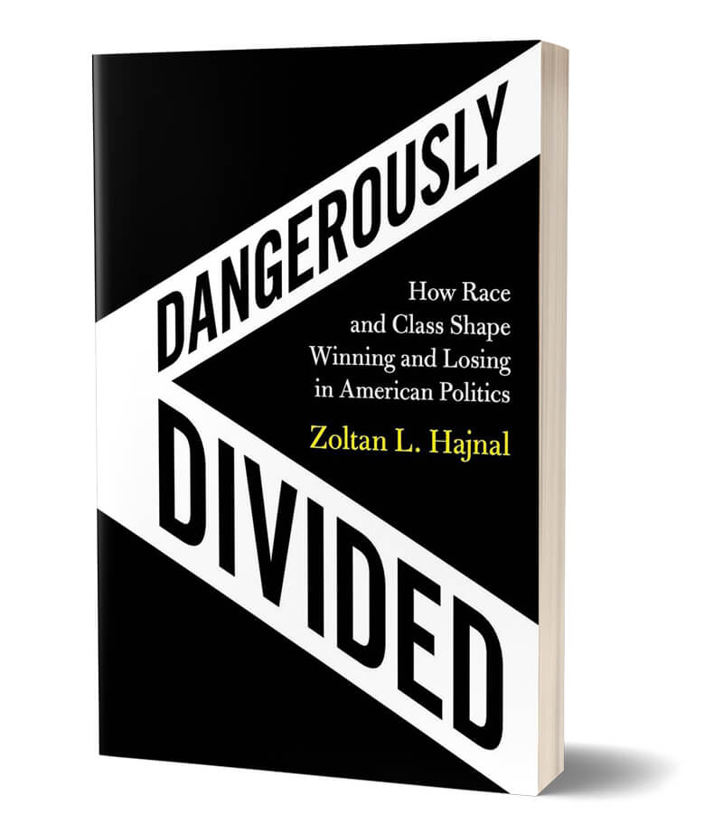 book_hajnal_dangerously-divided.jpg