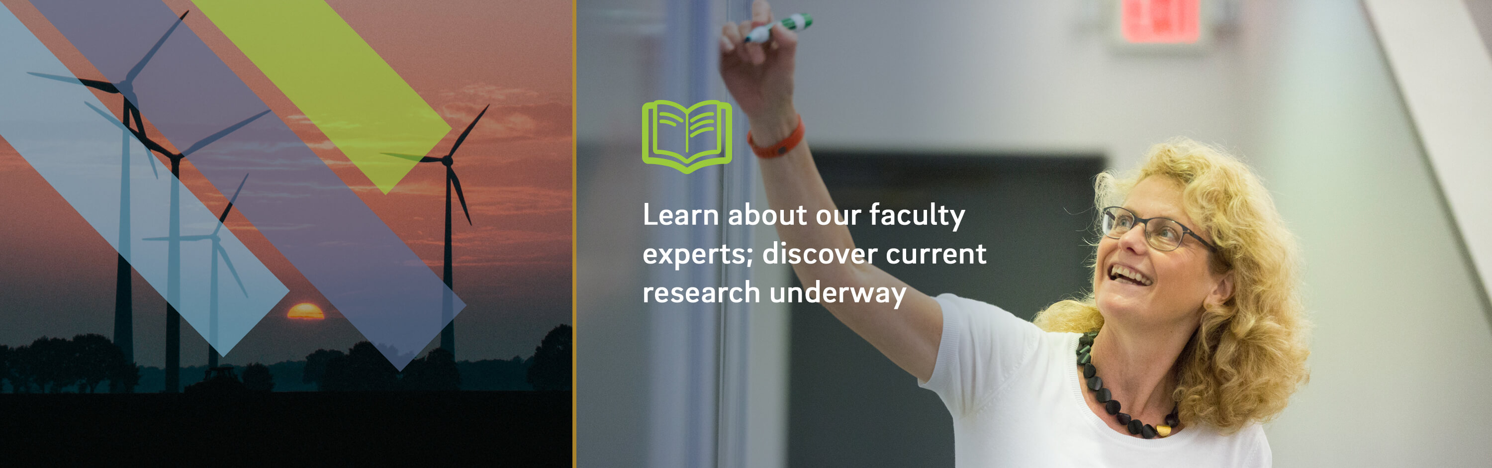 Faculty research