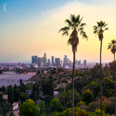 Distant view of downtown Los Angeles with palm trees in the foreground